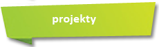 Projekty i projekciki