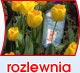 rozlewnia